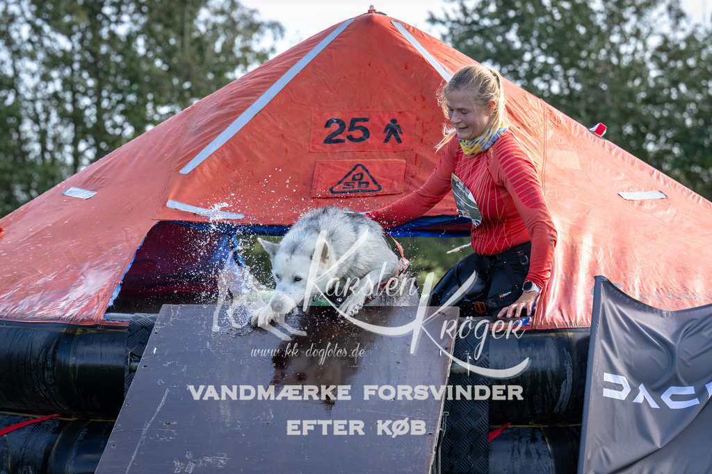 1155-92374 | kk-dogfotos