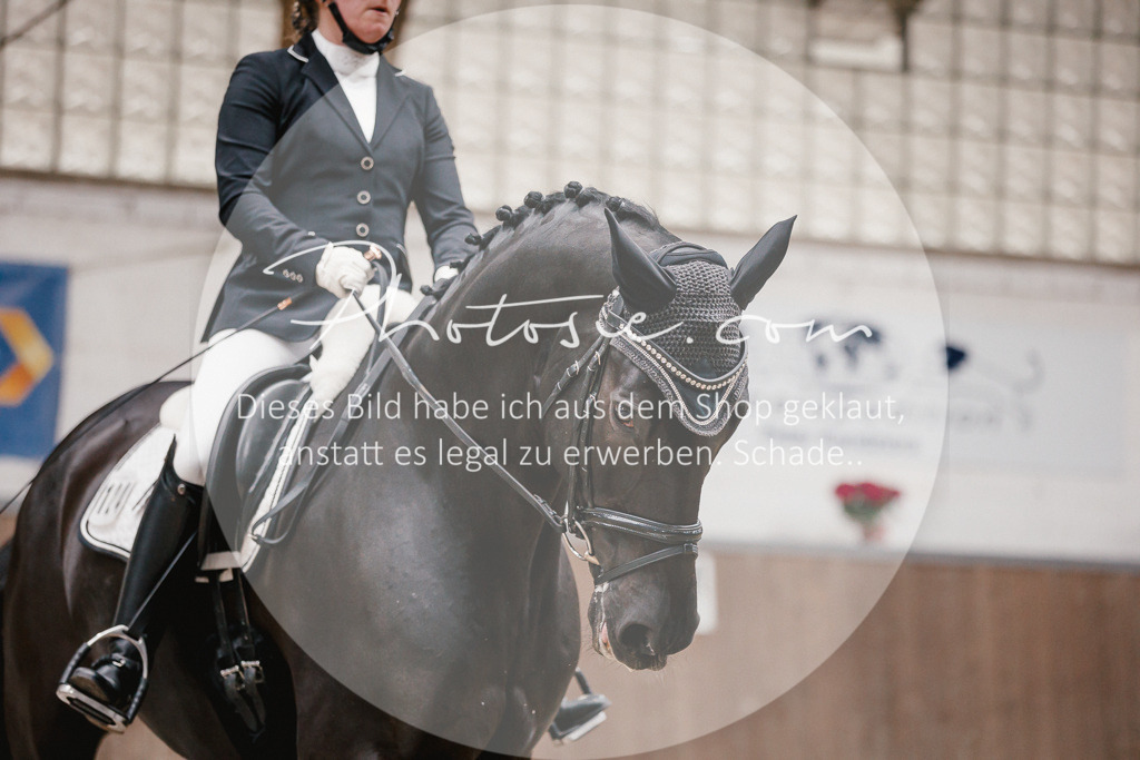 3I6A6313 | Stimmungsvolle Portraits und Reitsportfotografie im Ruhrgebiet und im Münsterland.

Pferdefotografie, Hundefotografie, Tierfotografie, Reportagen, Portraits von Tier und Mensch, Turnierfotografie in Bochum, Recklinghausen, Marl, Haltern am See, Dülmen.. - Realisiert mit Pictrs.com
