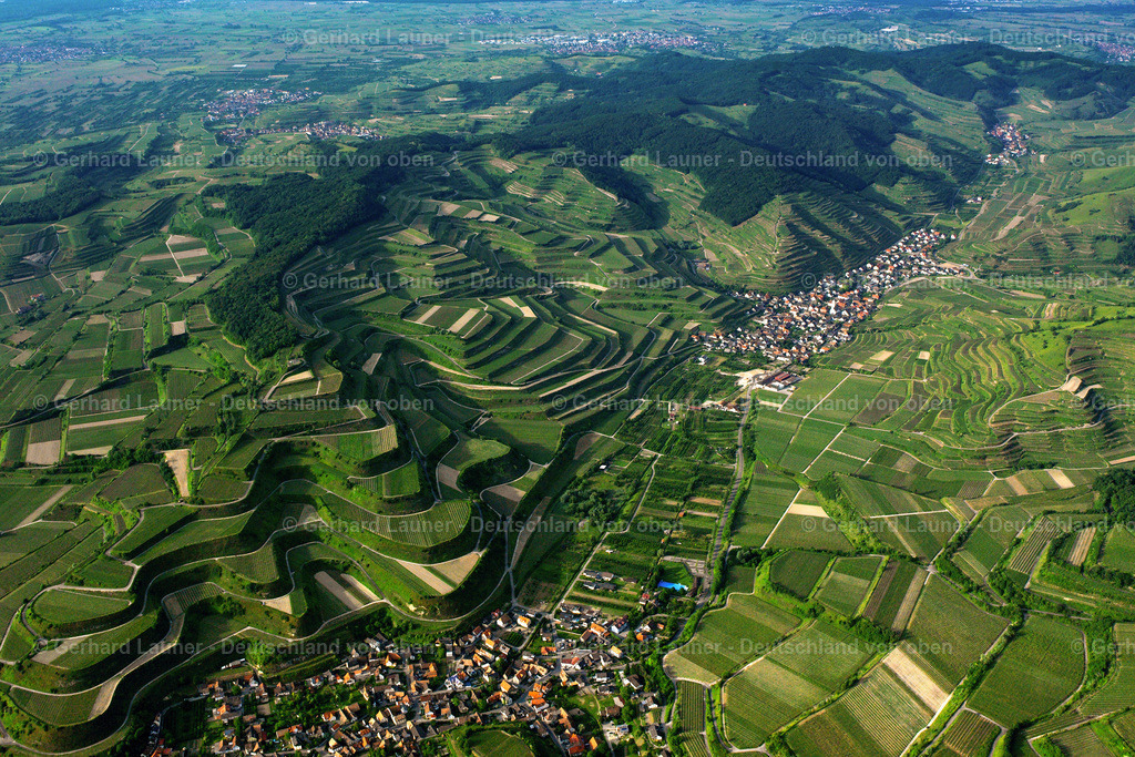 2597019 | Vogtsburg und Oberbergen im Kaiserstuhl