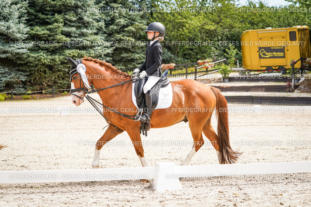 DSC02675 | Pferdegrafie