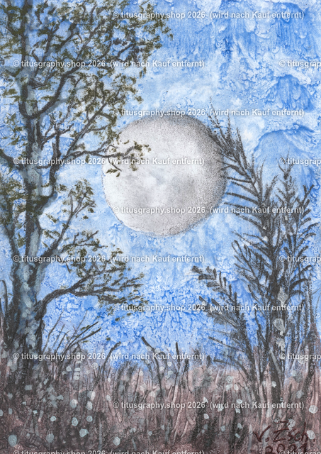 Bei Vollmond betrachtet | Zeichnung von Vera Zschecked exclusiv auf titusgraphy.eu - Realisiert mit Pictrs.com