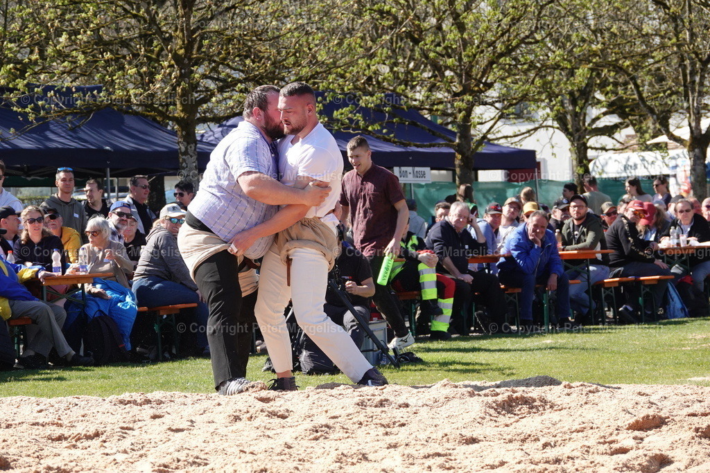 DSC02282 | Schwingen - Realisiert mit Pictrs.com