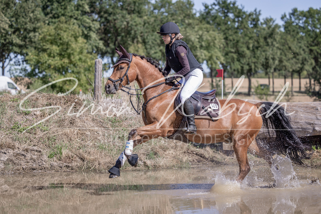 20260906-_3LI4301 | Tierfotografie Pferde, Hunde, Katzen, Haustiere.
Turnierfotografie Reitturniere, Reiten, Springreiten, Dressur in Hanau, dem Main-Kinzig-Kreis und dem Rhein-Main- Gebiet um Frankfurt