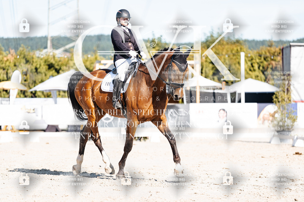 CK907693 | Turnierfotografie Pferdefotografie Trier Rheinland-Pfalz Pferdesport Reitsport Tierfotografie Sportfotografie Pferdevideo Pferdevideografie Equestrianvideography equestrianphotography  - Realisiert mit Pictrs.com