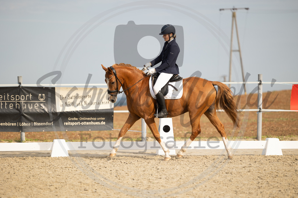 994A1110 | sabrinanicolaifotografie - Realisiert mit Pictrs.com