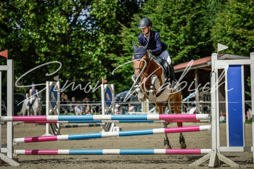 20250906-_3LI6133 | Tierfotografie Pferde, Hunde, Katzen, Haustiere.
Turnierfotografie Reitturniere, Reiten, Springreiten, Dressur in Hanau, dem Main-Kinzig-Kreis und dem Rhein-Main- Gebiet um Frankfurt