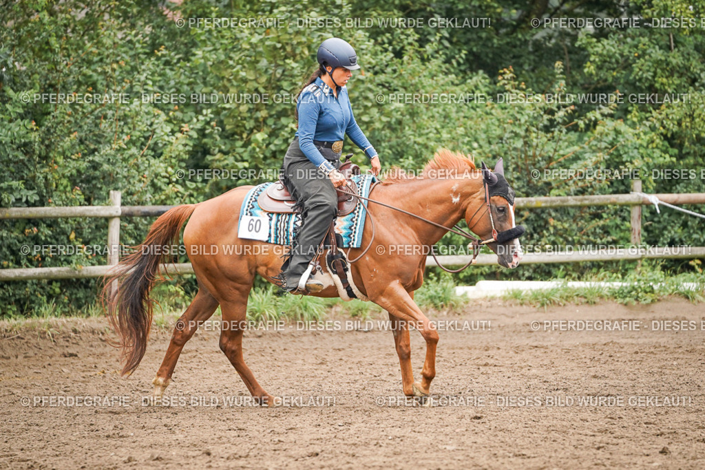 DSC02316 | Pferdegrafie