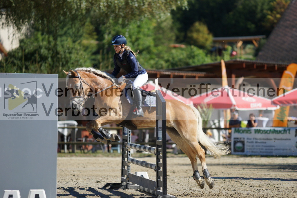 DSC08367 | equestrian-live-com