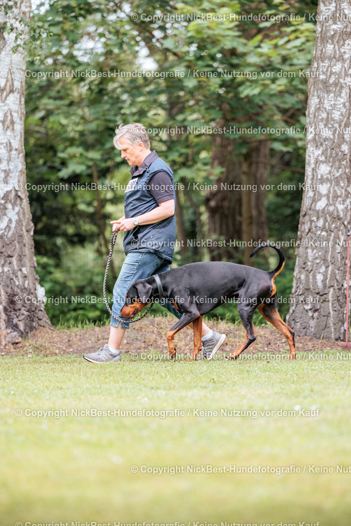 RO-Blumenthal-2026-Nickbest-Hundefotografie-5218 | Dein Hund! Dein Moment! Deine Erinnerungen! Hundefotografie in Bremen Blumenthal. Ich fange die besonderen Momente deines Vierbeiners ein – ob Indoor mit Blitzanlage oder in der freien Natur. Sicher dir dein Moment und dein Termin für eure Erinnerungen.
