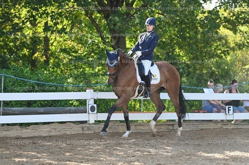 20230715_06_Dressurpferdeprfg. Kl.A_0213 | equistock
