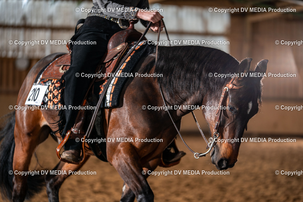 Balingen Tag 4-755 | dv-media-shop - Realisiert mit Pictrs.com