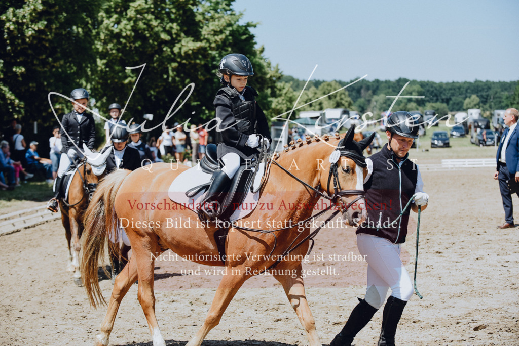 DSC_2460 | Pferde- und Turnierfotografie in Westsachsen. Pferdeportraits, Auftragszeichnungen und intuitive Kunst.