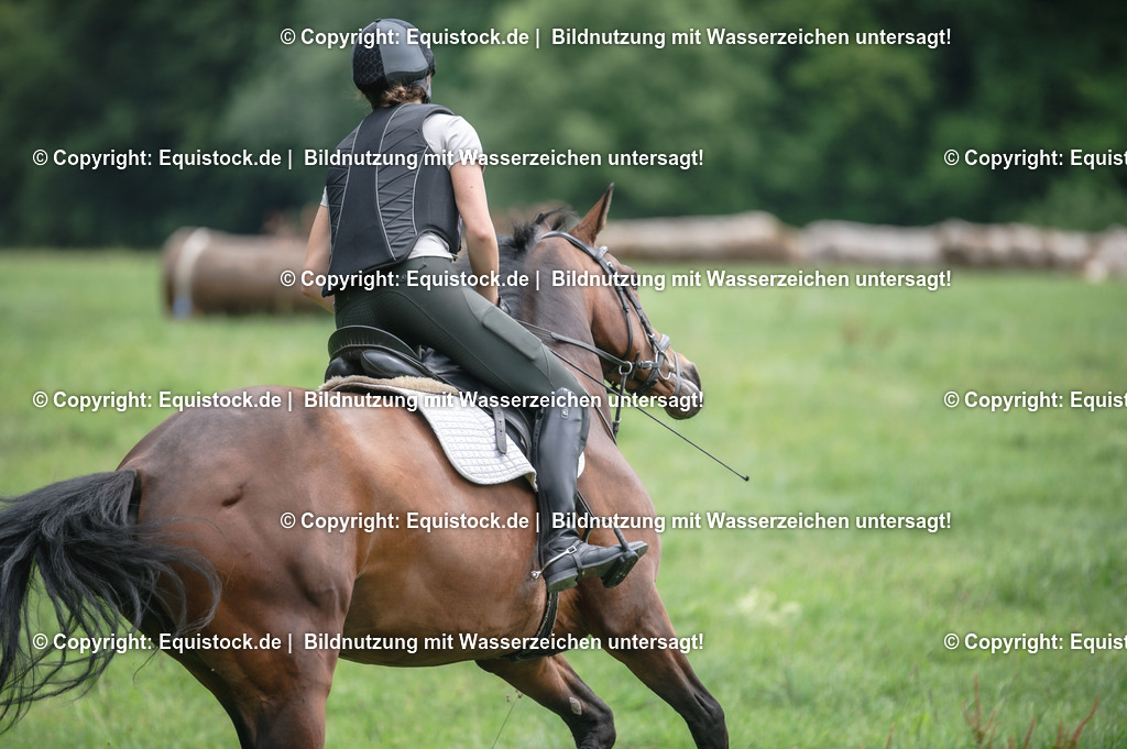 20250726_Vielseitigkeitslehrgang-Marbach_0737 | Foto: Thomas Hartig