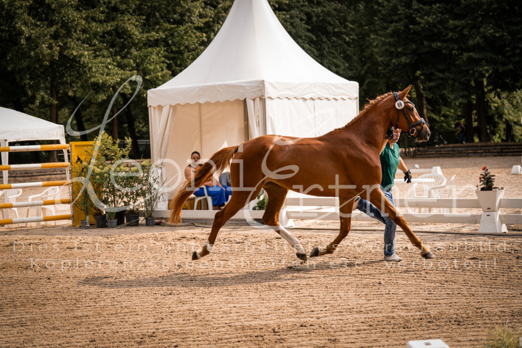 FrER00022 | Leoni Ertmer Photography - Realisiert mit Pictrs.com