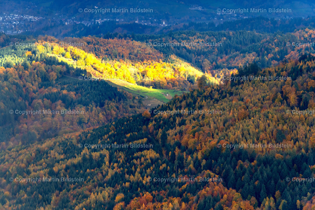 Friesenheim 20-11-22-1-2 | Bilder Fotos Luftbilder Luftaufnahmen Deutschland Süden Westen Schwarzwald Baden Württemberg  