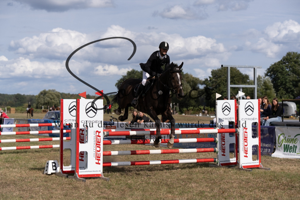 A7V09204 | Pferdefotograf