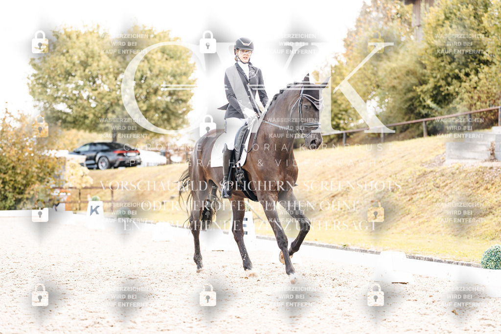 CK901793 | Turnierfotografie Pferdefotografie Trier Rheinland-Pfalz Pferdesport Reitsport Tierfotografie Sportfotografie Pferdevideo Pferdevideografie Equestrianvideography equestrianphotography  - Realisiert mit Pictrs.com