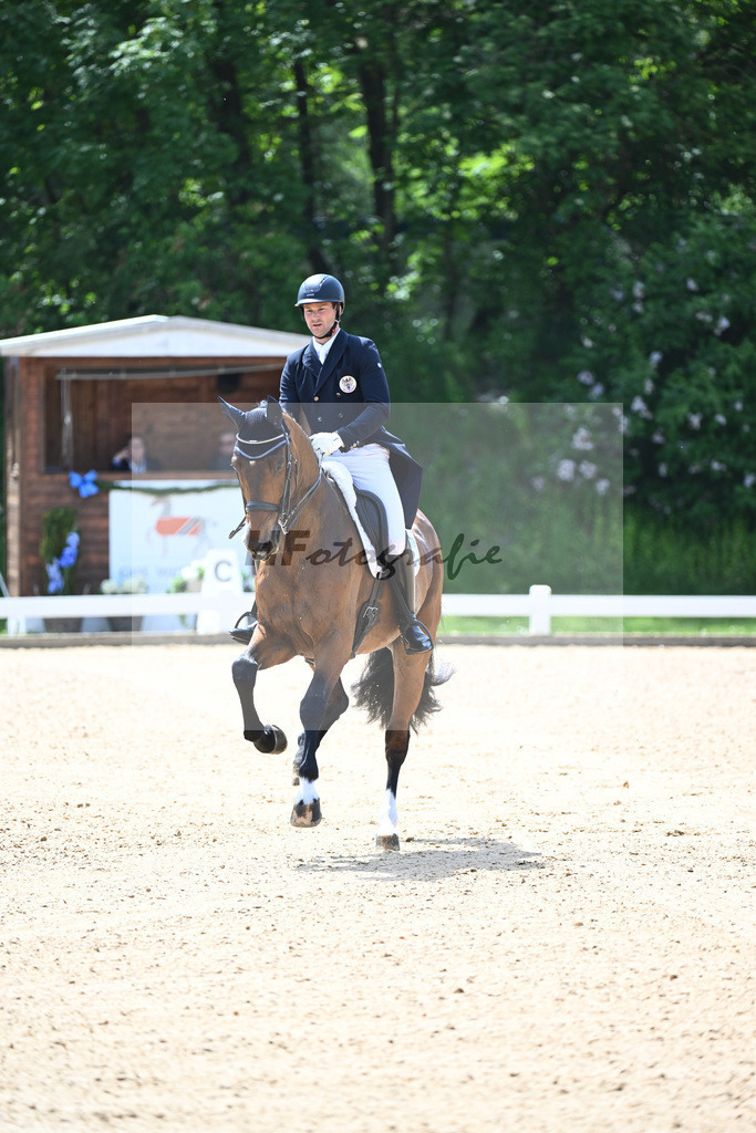 Bacher_Amonitas_12244036 | hf-fotografie - Realisiert mit Pictrs.com