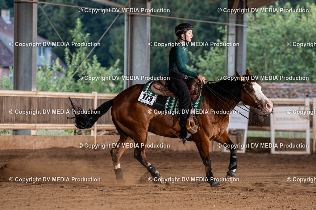 Erbach Tag 1-1183 | dv-media-shop - Realisiert mit Pictrs.com