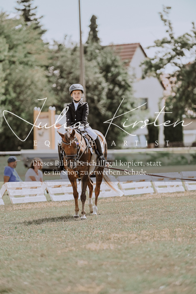 DSC_7635 | Pferde- und Turnierfotografie in Westsachsen. Pferdeportraits, Auftragszeichnungen und intuitive Kunst.