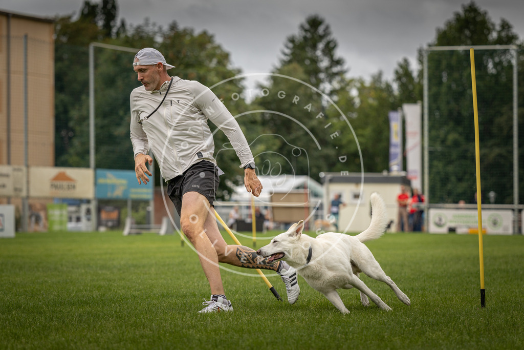 Pfotenfotografie_DV3A8124 | Hundefotografie, Tierfotograf, Pfotenfotografie, Fotoshooting Hund, Hunde Portrait, Hundesport, Hundeportraits, Heideshooting, Hunde, Sportfotograf, Hundefotograf, Turnierhundsport, THS,  - Realisiert mit Pictrs.com