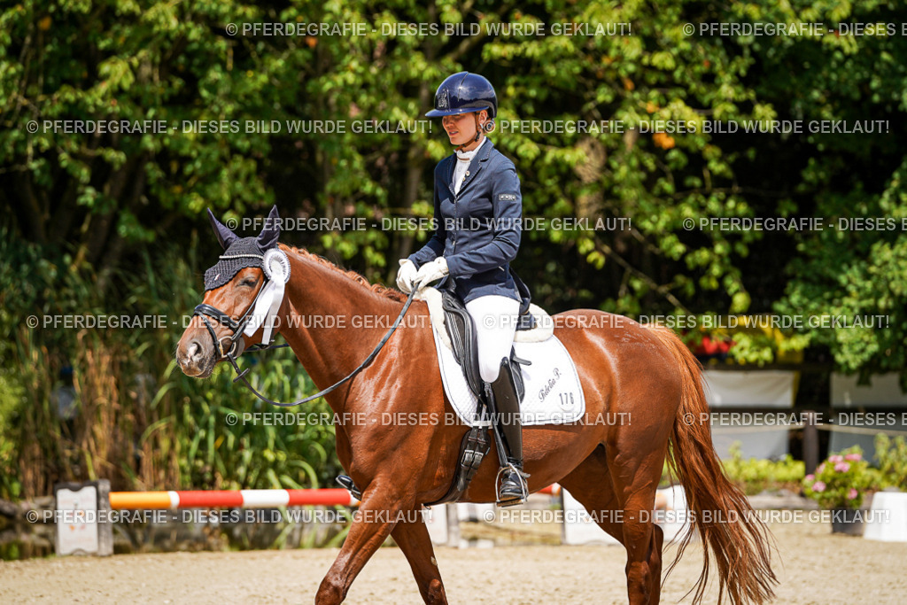 DSC01913 | Pferdegrafie