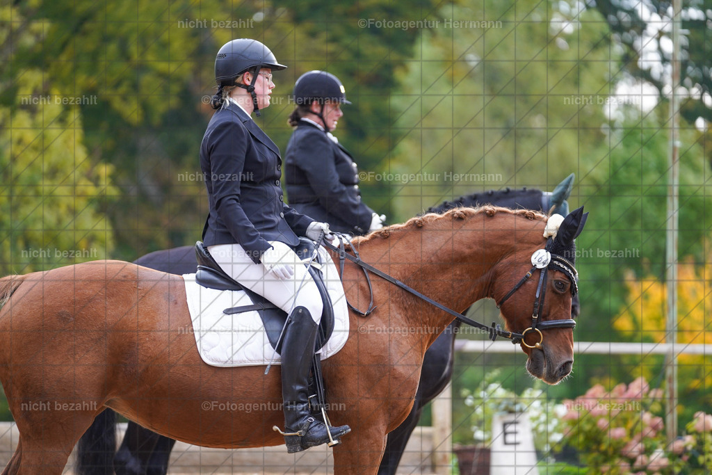 20221008-FAH00866 | Diessen am Ammersee, 2022, Dressur- und Springturnier, Reitsportbilder, Turnierfotografen Bayern, Pferdefotografen, Fotoagentur Herrmann, Turnierbilder