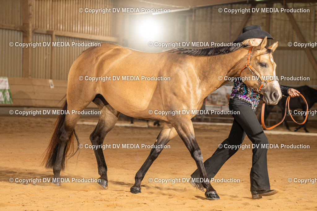 NID02433 | dv-media-shop - Realisiert mit Pictrs.com