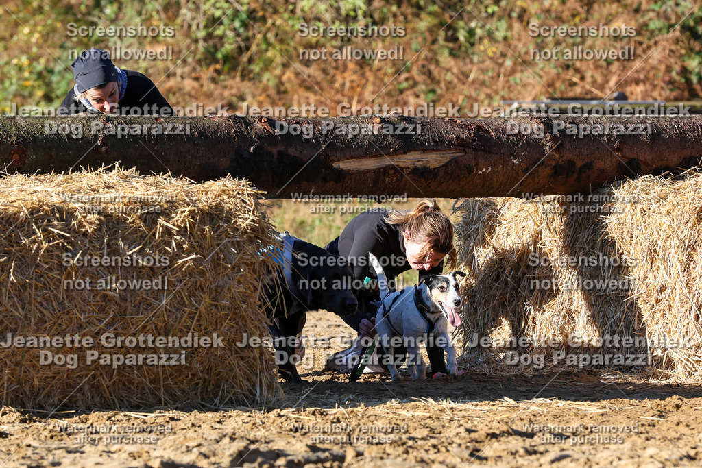 Dog Paparazzi - Strongdog 10-25-1564 | Dog Paparazzi Jeanette Grottendiek Fotografie & Videografie - Realisiert mit Pictrs.com