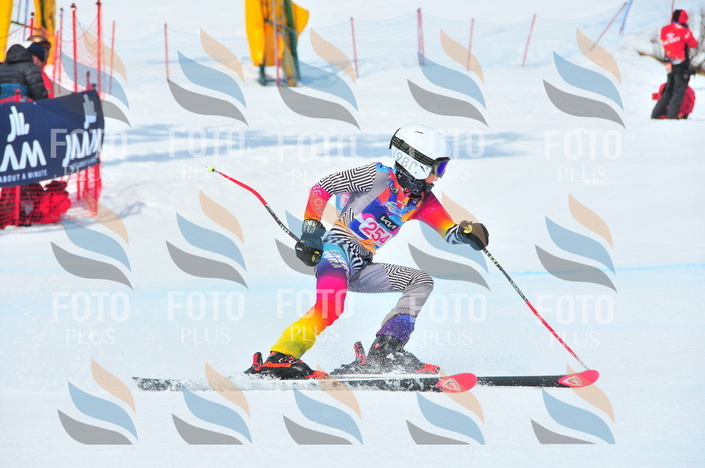 DSC_6122 | holidayphoto