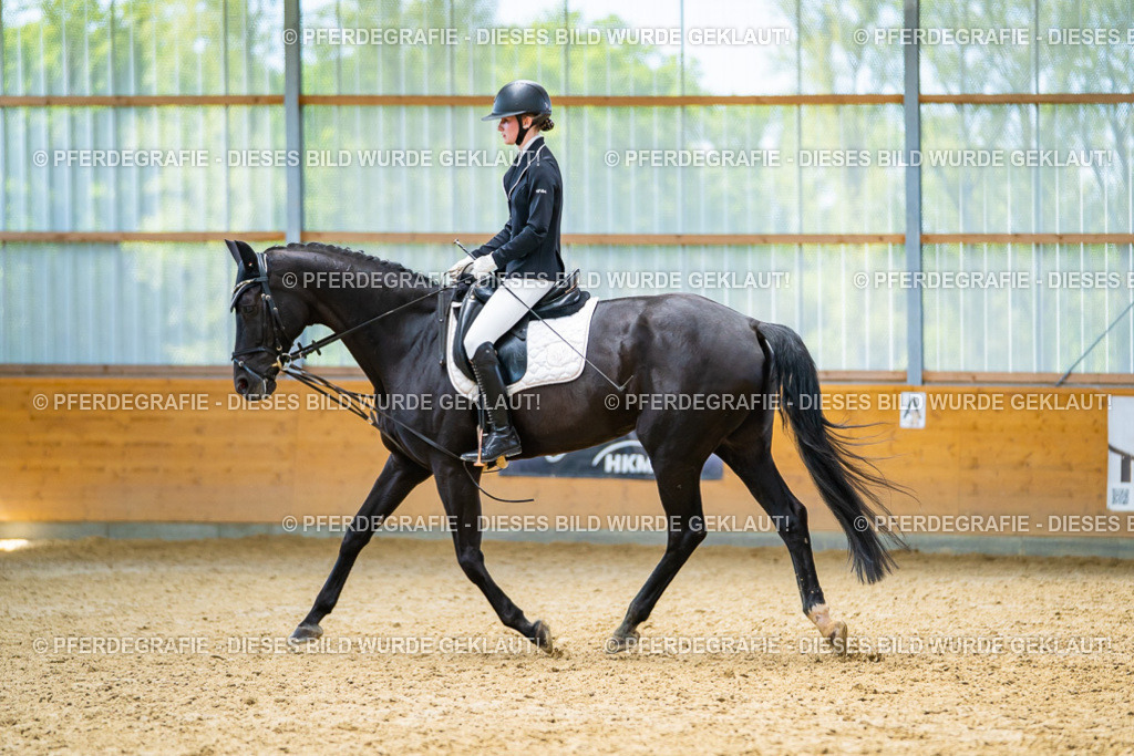 DSC09394 | Pferdegrafie