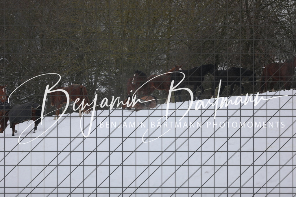 AZ2A3404 | Benjamin Bartmann Photomoments