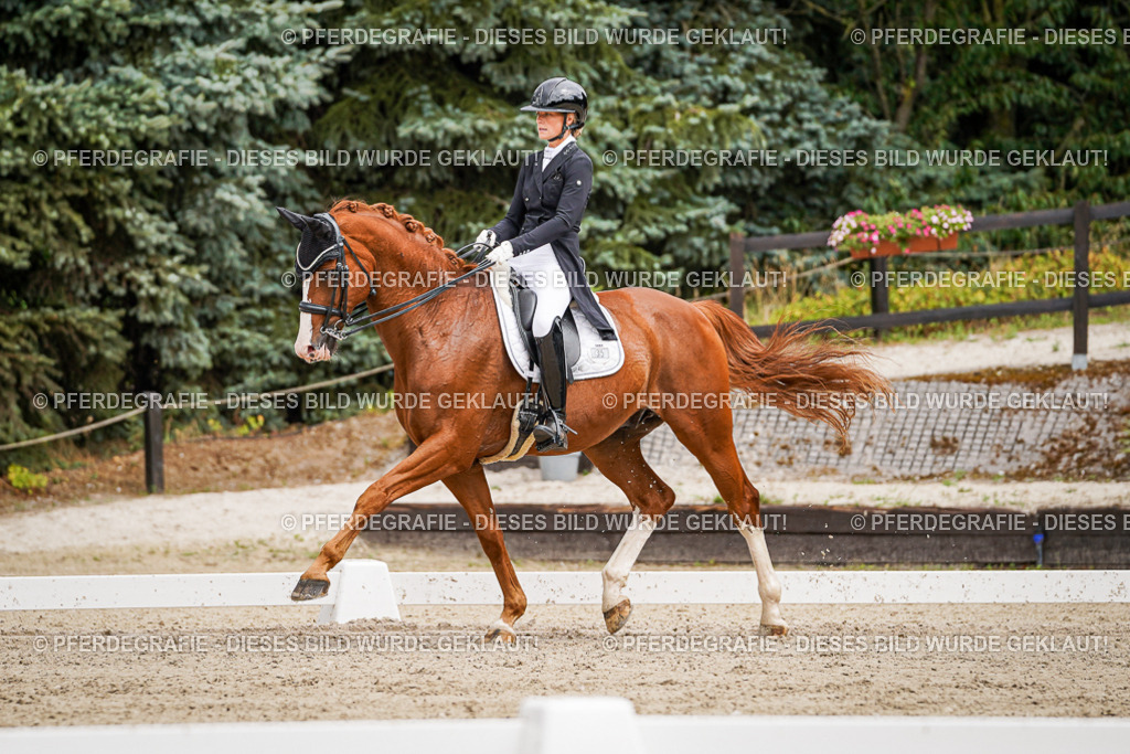 DSC05635 | Pferdegrafie