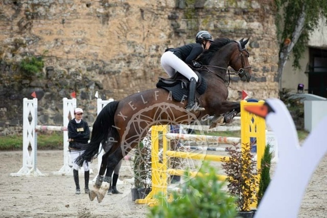 2B4A3501 | pixelfaenger - Realisiert mit Pictrs.com