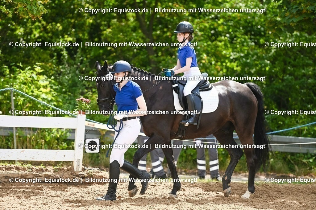 20230716_11_Führzügel-WB_0030 | equistock