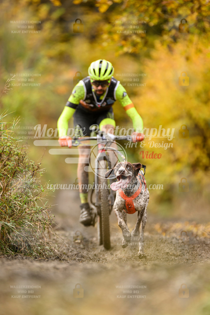 MompixPhotography_ICF_WC_2024_SA_Bike_-172 | PayLife