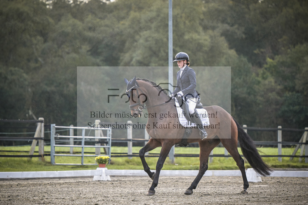 DOS_1594 | Entdecke hochwertige Reitturnierfotos von Foto Oger. Professionell, emotional und authentisch – jetzt Lieblingsmomente im Shop bestellen.Deutschlandweite Turnierfotografie. - Realisiert mit Pictrs.com