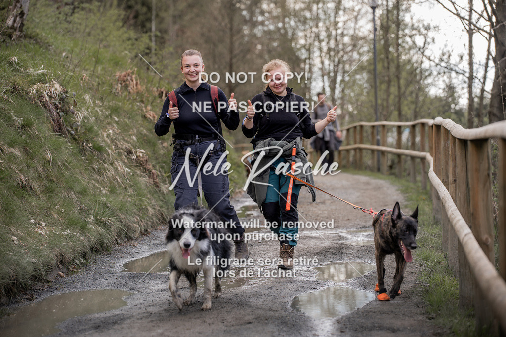 NR__0899 | nelerasche