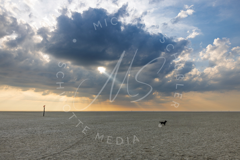 2025-07-20 SPO Himmelsloch 004 | Schwotte Media - Realisiert mit Pictrs.com