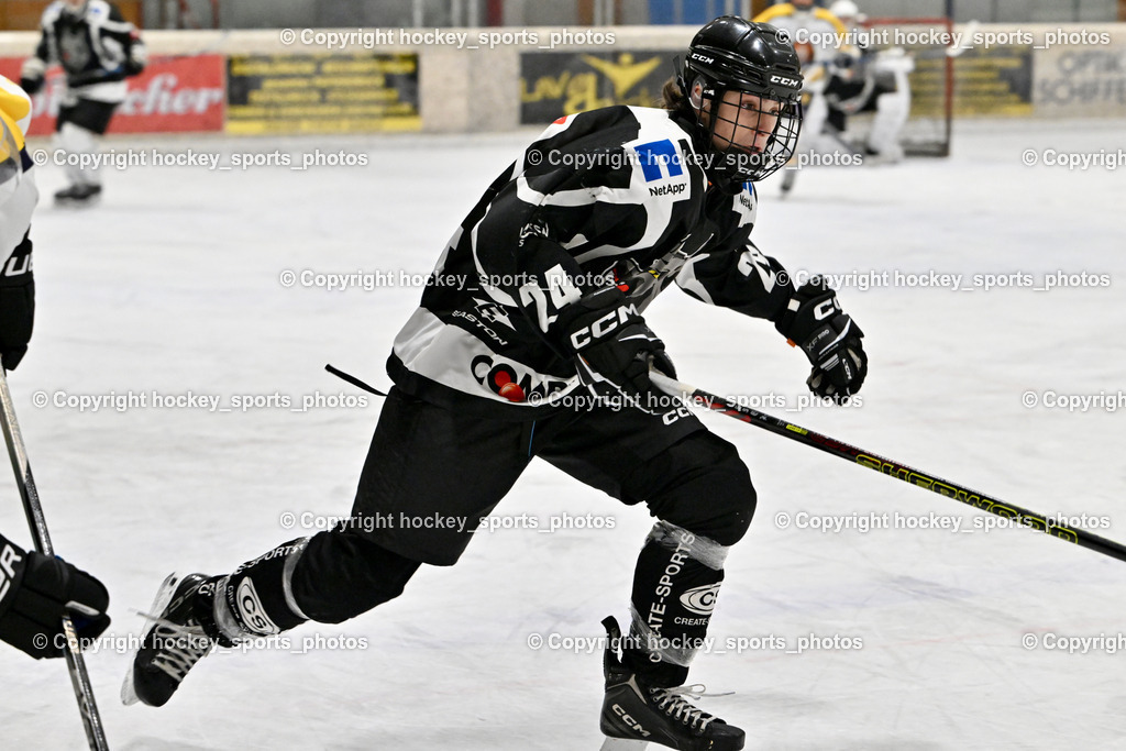 EC Tigers Paternion vs. Tarco Wölfe II | #24 Desenbekowitsch Nico Tarco Wölfe II, EC Tigers Paternion vs. Tarco Wölfe II, EC Tigers Paternion vs. Tarco Wölfe II am 19.12.2024 in Spittal an der Drau (Eissportzentrum Spittal), Austria, (Photo by Bernd Stefan)