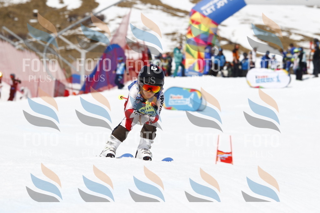 _U3G8135 | holidayphoto