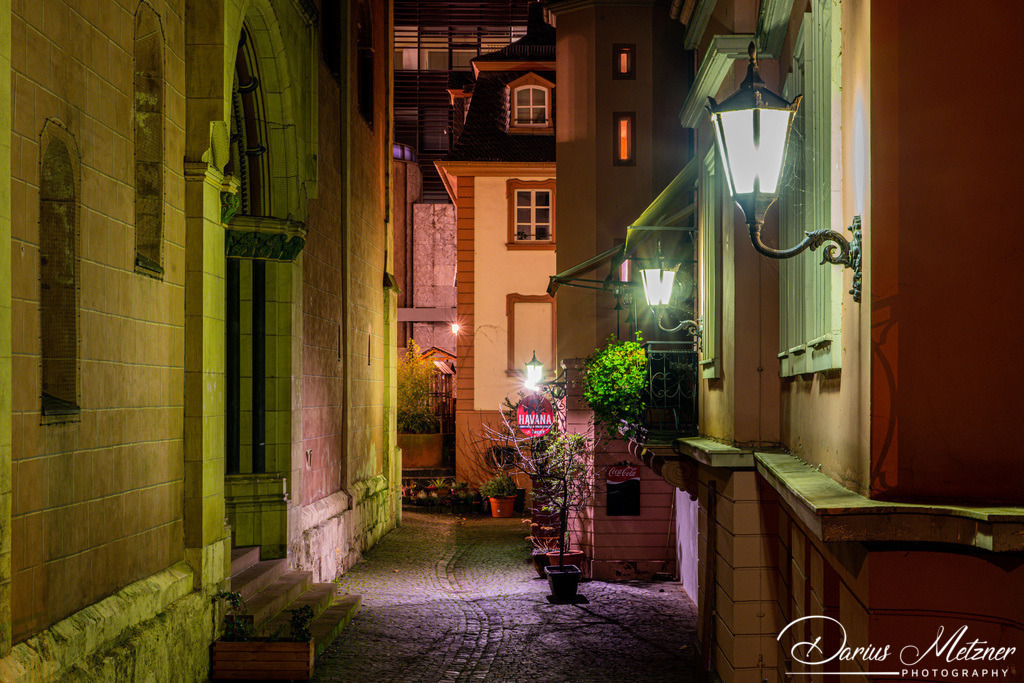 DSC_9871 | Fotografien, Fotos und Bilder aus Mainz, Frankfurt, Wiesbaden und anderen Orten auf der Welt - Fotografiert von Darius Metzner