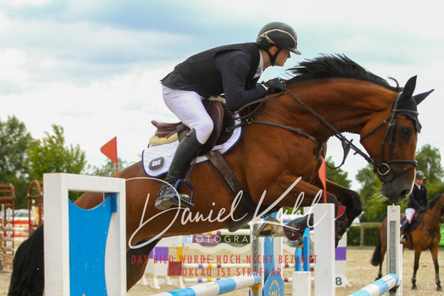 Monschau25_PktM_0058 | Turniersportfotografie; Pferdefotografie; Dressurfotografie