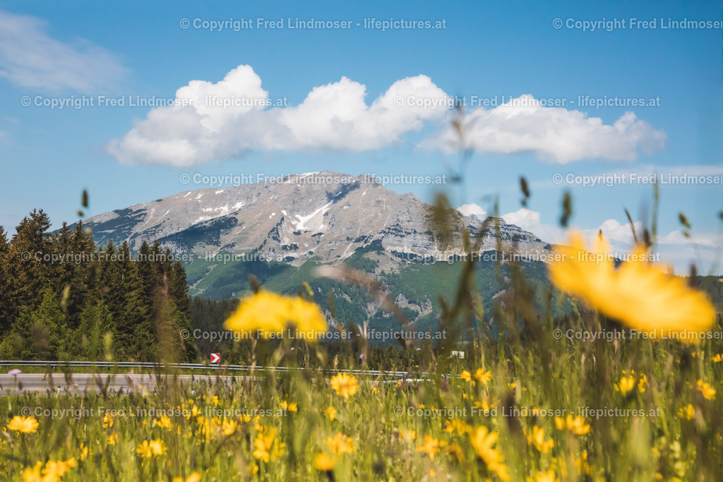 Otscher  (12) | Fotos und Fotoprodukte - Realisiert mit Pictrs.com