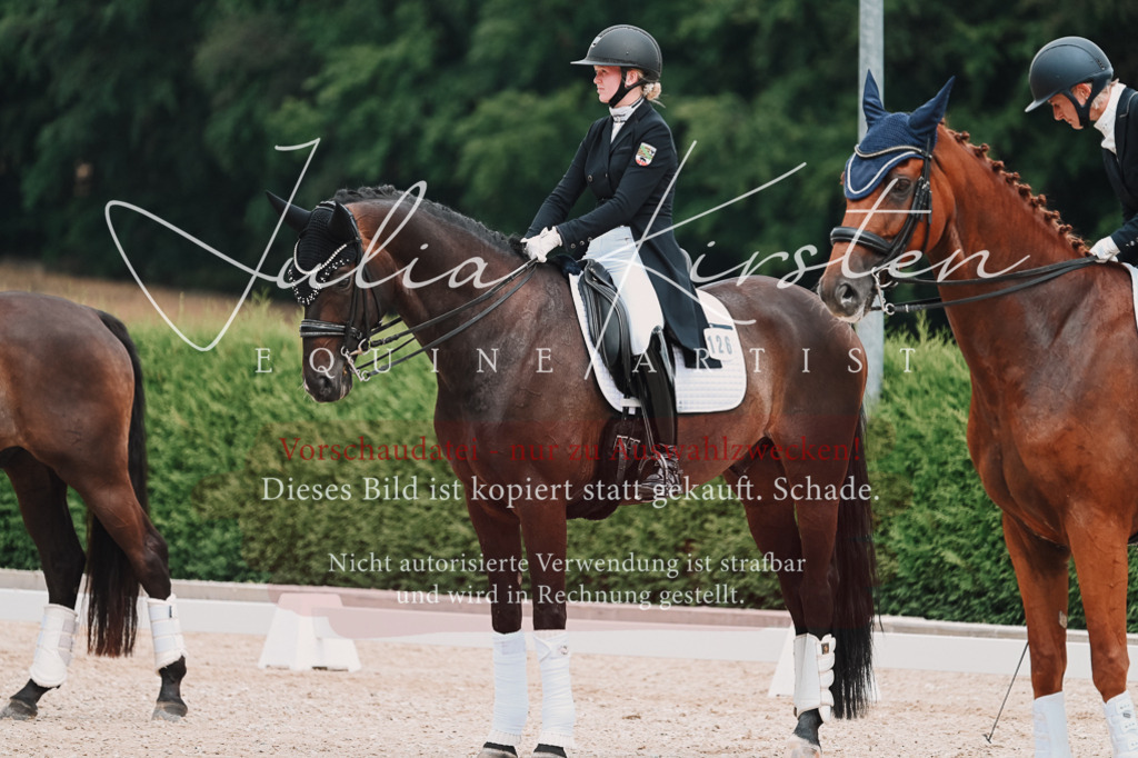 DSC_4400 | Pferde- und Turnierfotografie in Westsachsen. Pferdeportraits, Auftragszeichnungen und intuitive Kunst.