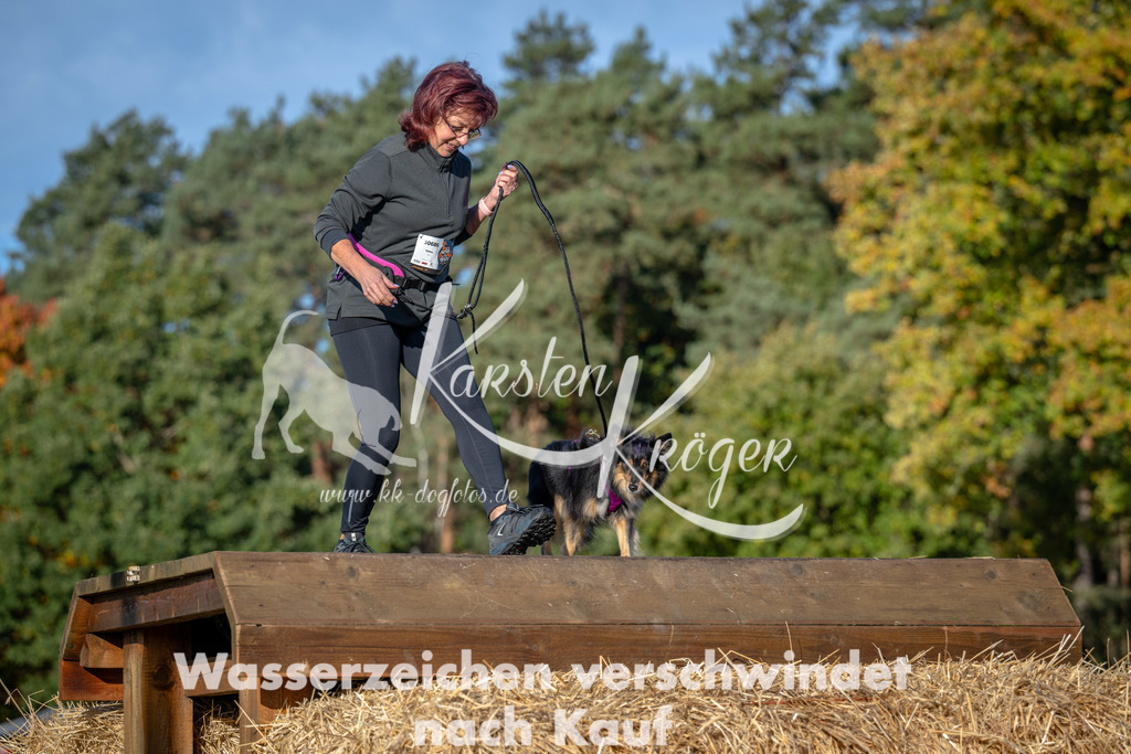 0956_ZZ91629 | kk-dogfotos