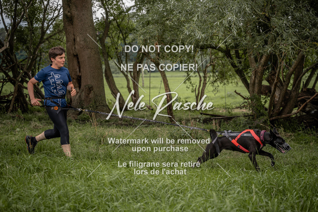 nelerasche_DoN_144 | nelerasche