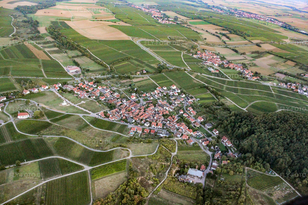 Luftbild: Ortsansicht von Westen im Ortsteil Gleishorbach in Gleiszellen-Gleishorbach im Bundesland Rheinland-Pfalz in Deutschland. Foto: IMG_21310.jpg vom 23.09.2009 durch Werner Riehm/FLY-FOTO.de