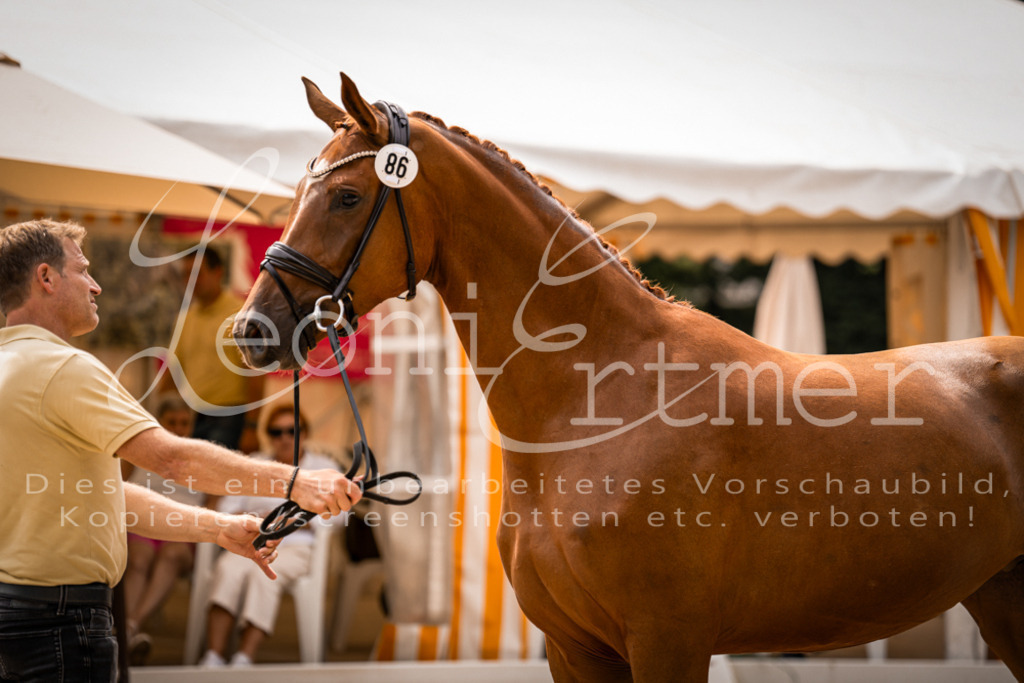 5.Fr00048 | Leoni Ertmer Photography - Realisiert mit Pictrs.com