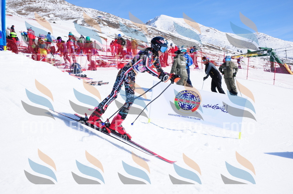 DSC_4442 | holidayphoto